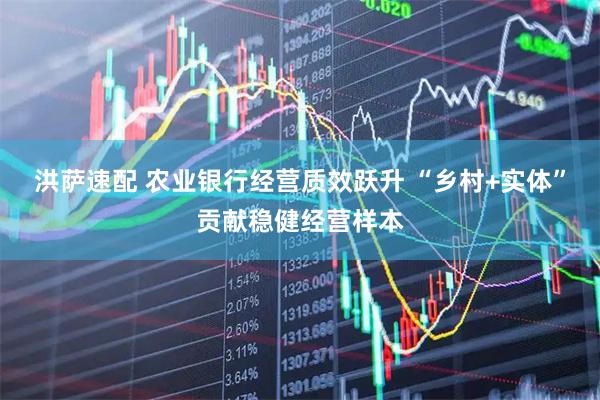 洪萨速配 农业银行经营质效跃升 “乡村+实体”贡献稳健经营样本