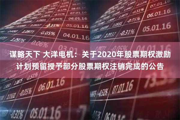 谋略天下 大洋电机:关于2020年股票期权激励计划预留授予部分股票期权注销完成的公告