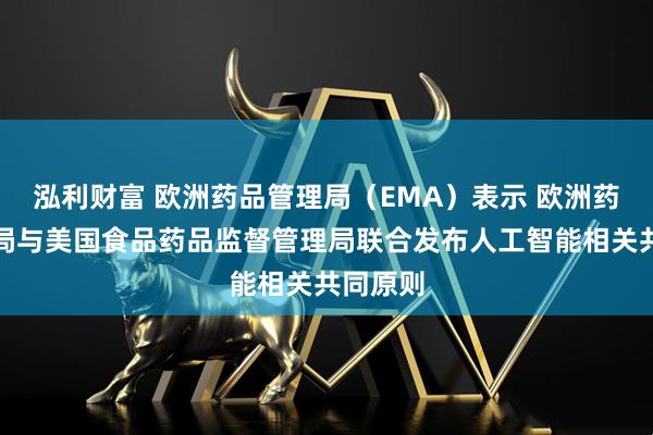 泓利财富 欧洲药品管理局（EMA）表示 欧洲药品管理局与美国食品药品监督管理局联合发布人工智能相关共同原则